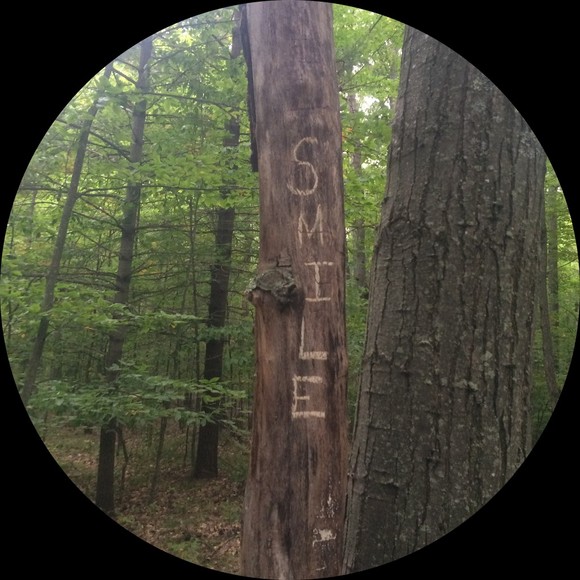 up_forest_love